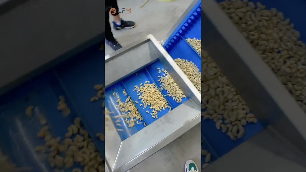 Automatic Cashew Nut Roasting Plant, Cashew Processing Machine