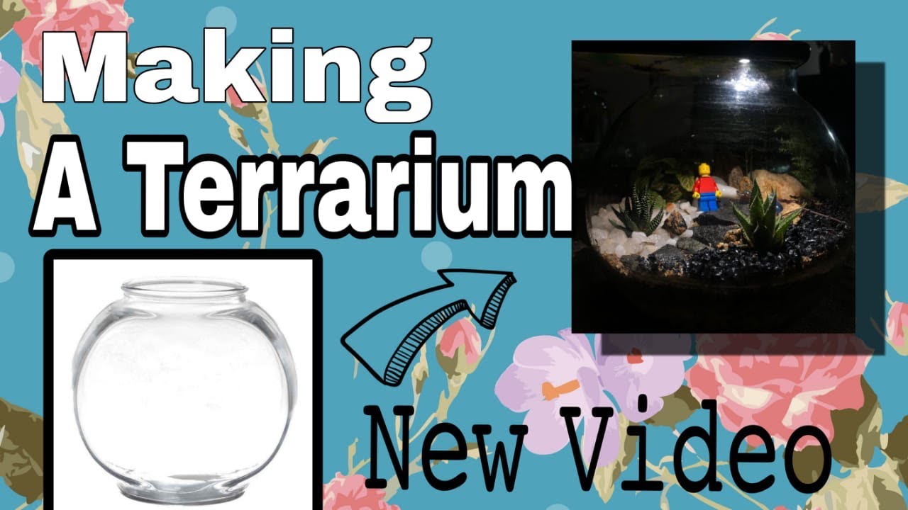 Making a Terrarium out of a fish bowl 🐳🐠 / Sheema Simson / Malayalam