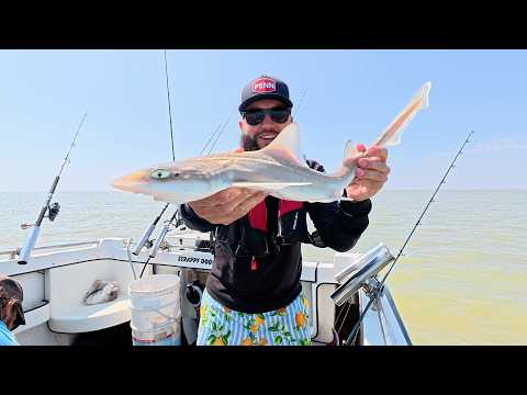 Pro Angler vs River Thames – Uptide Fishing Adventure!