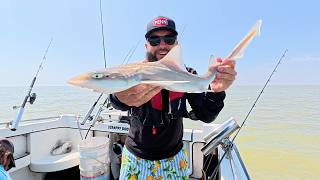 Pro Angler vs River Thames – Uptide Fishing Adventure!