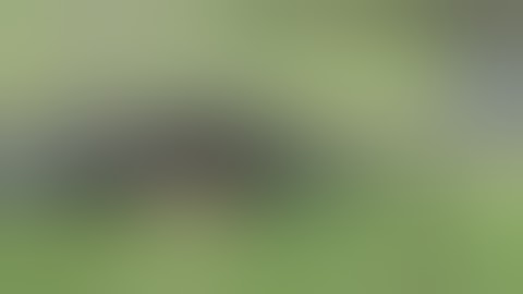 Recording sounds of Machine Guns, Supressors, and other firearms, by Watson Wu Studios