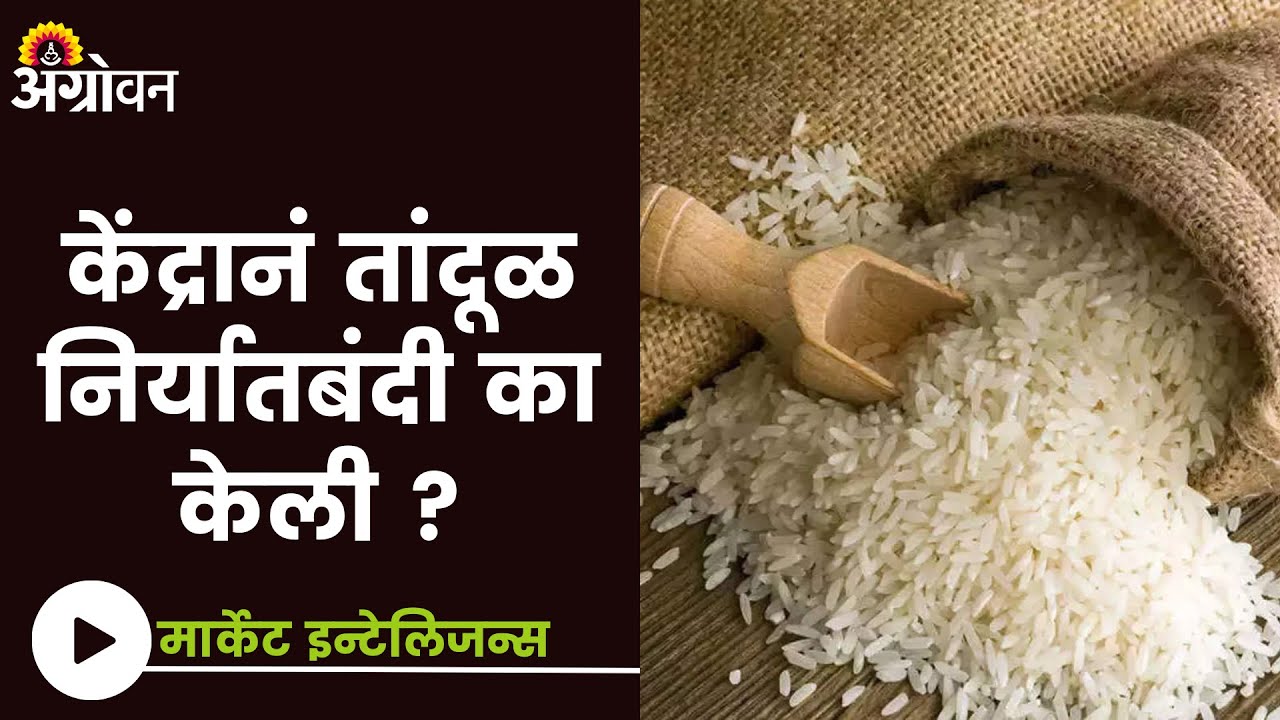 Rice Rate Rice Rate