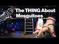 The THING About Mosquitoes