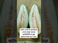 Bangi Fruit Benefits Sweet Summer Fruit in Bangladesh Health Benefits of Bangi Muskmelon