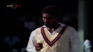 The easiest six ever hit in cricket, worst ball ever gets hit out of the ground  WARNER V HAFEEZ 🤣