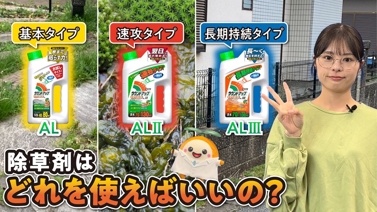 お庭の雑草に困ったら!ふたばの雑草お悩み相談室✨除草剤ラウンドアップALシリーズってどう違うの?