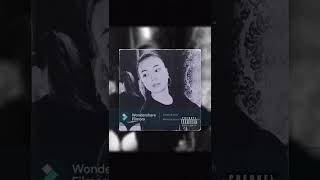 YNW Melly - Dangerously In Love (772 Love Pt. 2)