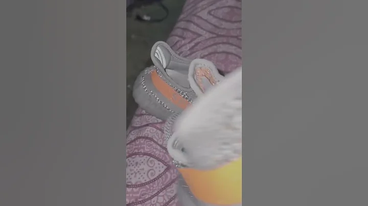 yeezy 350 beluga reflective