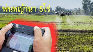 VLOG 8 วันๆบินโดรน พ่นหญ้านา 5ไร่ DJI T10