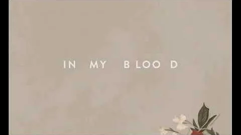 Shawn Mendes - In My Blood (Lyric Video)