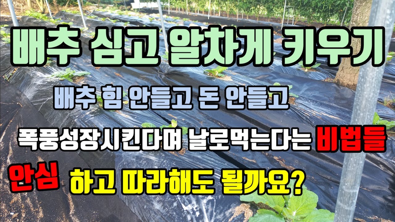 Ready go to ... https://youtu.be/RUbuv2gO4oo?si=cfFbv_XU4-7YUhib [ ê¹ì¥ë°°ì¶ ì¬ì í ì´ê¸°ê´ë¦¬]