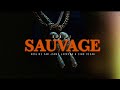 Don vi  sauvage  mixtape ouragan