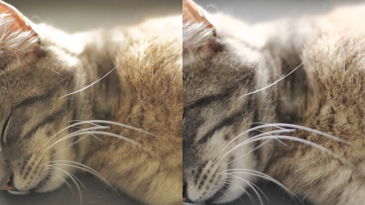 Canon EOS 6D Video : Magic Lantern Raw vs. All-I at 24FPS - YouTube