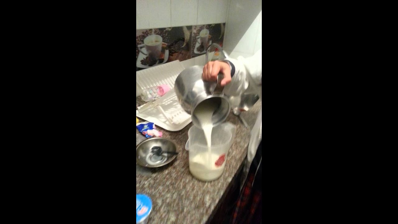 elaboracion de kumis