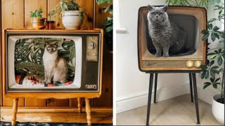 People Are Transforming Vintage TVs Into Cozy Beds for Their Feline Friends   - TV Cat bed by Tiny Cuisine 1,520 views 3 years ago 1 minute, 32 seconds