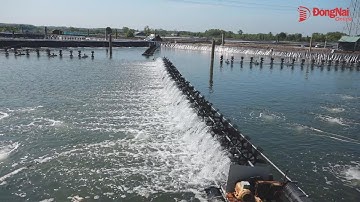 Thách thức và nỗ lực trong bảo vệ môi trường ngành thủy sản