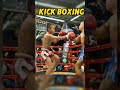 KickBoxing Kicks & Punches