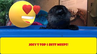 Joey's Top 5 Best Meeps!