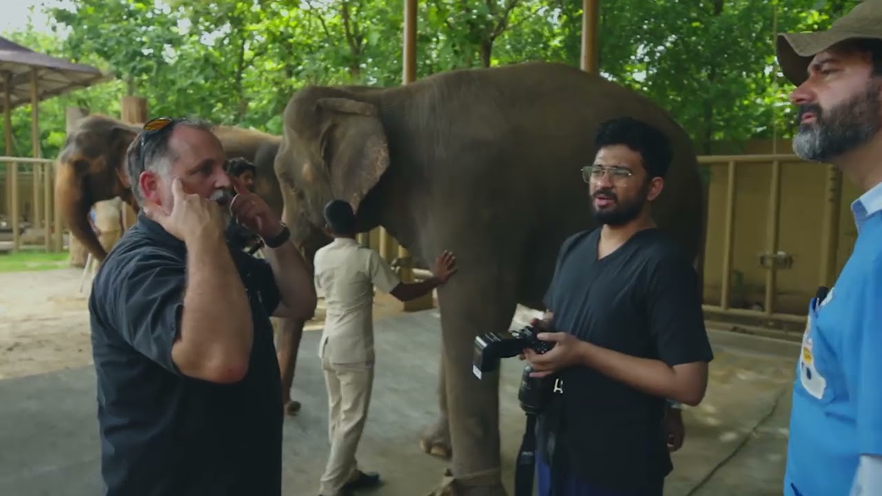 Elephant Cataract Surgery