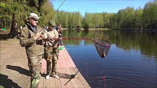 Обзор с нижнего водоёма. Клёвое место, Лосиный остров.