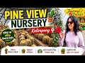 "Exploring Pine View Nursery, Kalimpong | Exotic Cactus Garden & Rare Plants Tour"