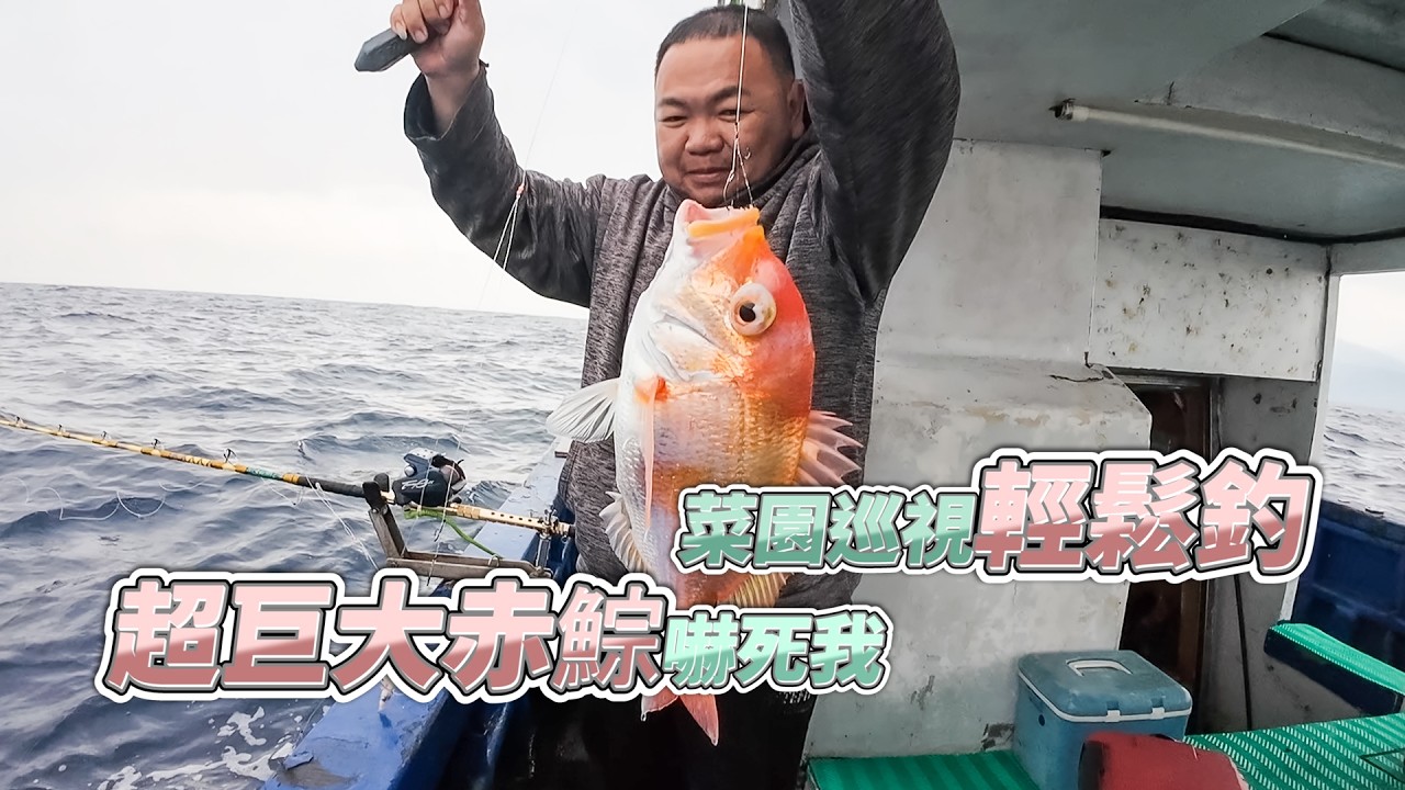 【台客去船釣】菜園拔菜總是不會讓人失望！赤鯮大到還以為是真鯛！feat.錦豐順6號娛樂海釣船