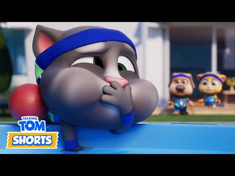 승부의 시간이다... 승리는 나의 것! | 토킹톰앤프렌즈 | 토킹톰 | 재미있는 동물 애니메이션