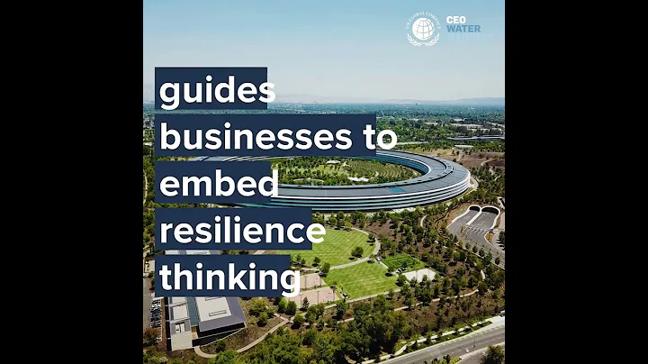 A Corporate Guide for Water Resilience