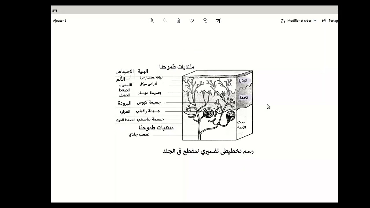 الجزء2 من حصة المراجعة للفصل الثاني سنة أولى متوسط