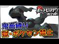 【鬼畜縛り】獄・ポケモンセンター禁止マラソン～イッシュ編～#118【ポケモンBW】