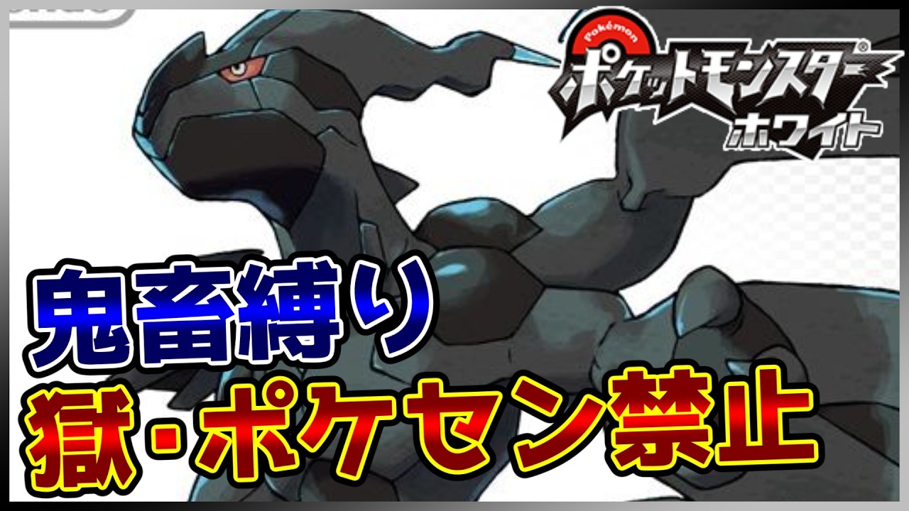 【鬼畜縛り】獄・ポケモンセンター禁止マラソン～イッシュ編～#118【ポケモンBW】