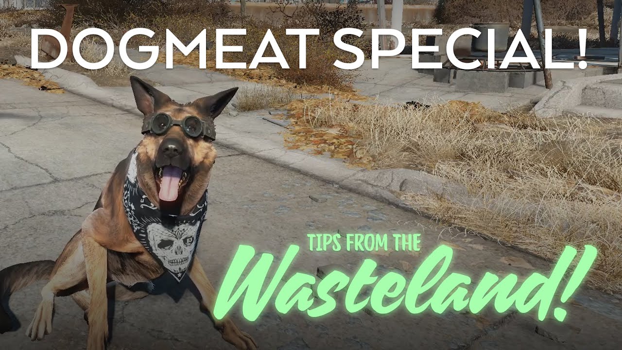 DOGMEAT SPECIAL! - Fallout 4: Tips from the Wasteland! Gameplay