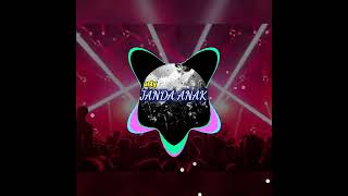party _ janda anak dua _ remix 2023