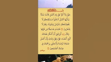 القرآن الكريم سورة النمل