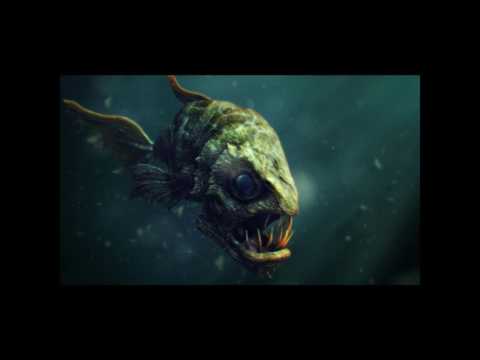 Βίντεο: Πώς να σώσετε ένα πεθαμένο χρυσό ψάρι (με εικόνες)