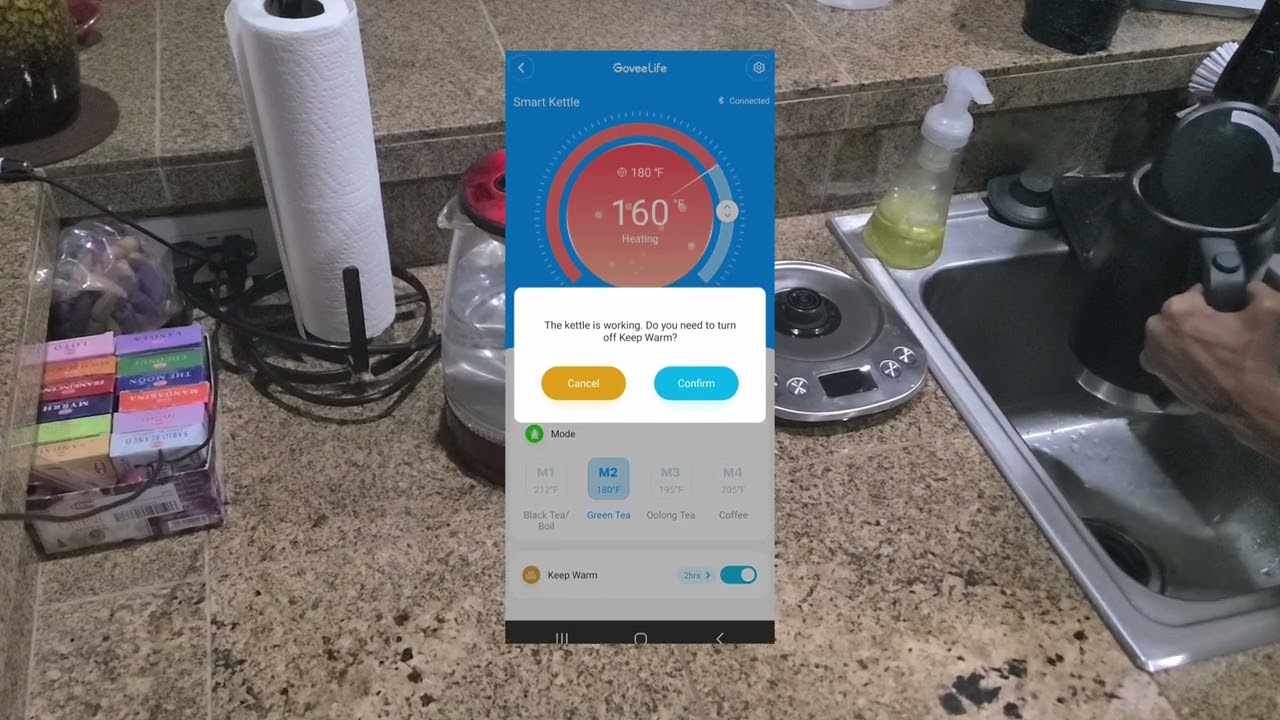 Govee Smart Kettle review