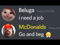 When Beluga Applies for a Job...