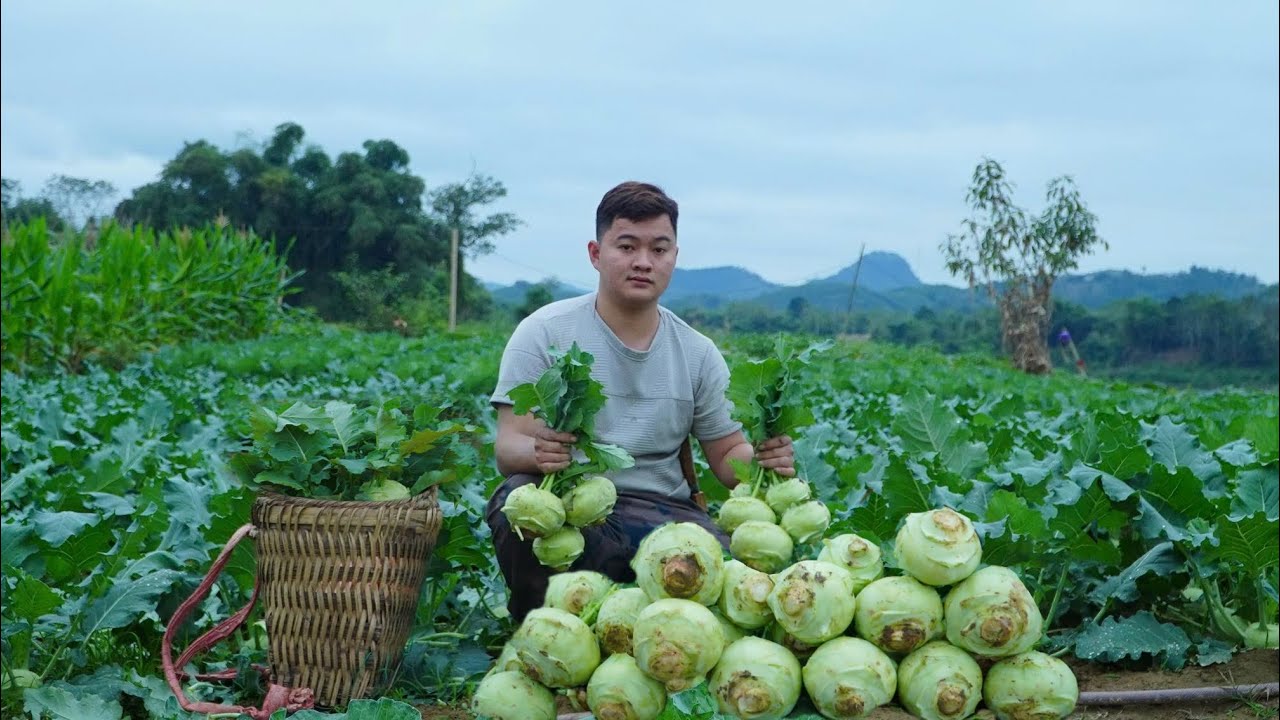 От сада до стола | Готовим простую фермерскую еду с моим щенком