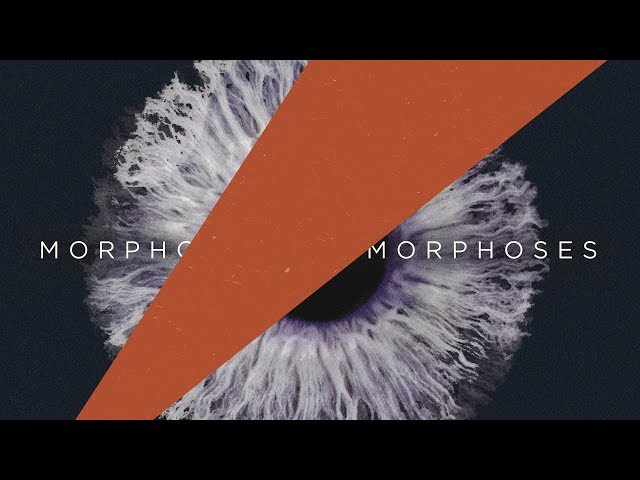Estiva - Morpho