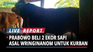 Idul Adha 2025, Presiden Prabowo Beli 2 Ekor Sapi Asal Wringinanom Gresik untuk Kurban