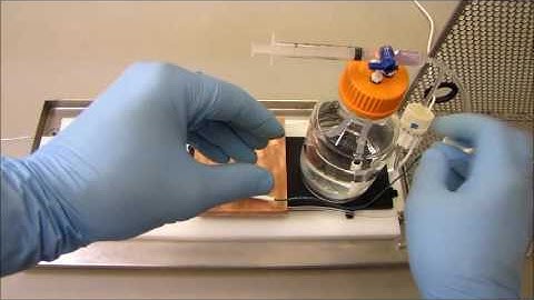 OcuScience Ex-Vivo Trans-retinal ERG Recording System Set-up