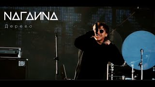 NAГАИNA - Дерево (г. Каменск Уральский, 13 09 2025)