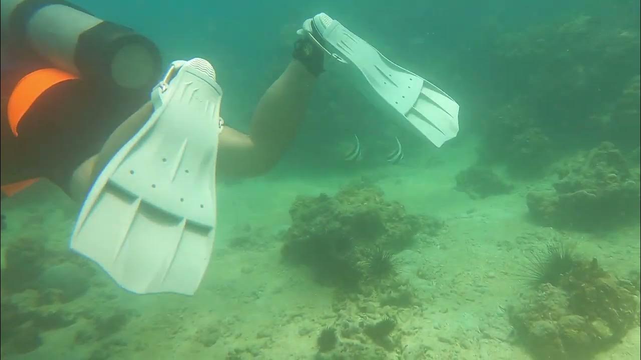 Scuba Diving the Arabian Gulf Kubar Island Kuwait July 20, 2021. YouTube
