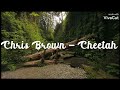 Chris Brown - Cheetah (lyrics video)