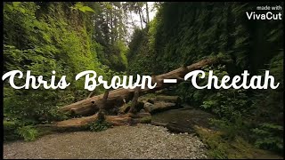 Chris Brown - Cheetah (lyrics video)