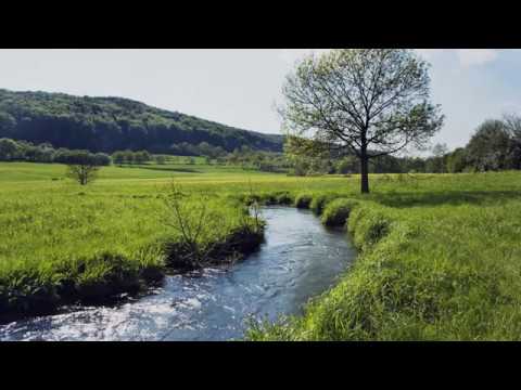 Blaž Lenger -