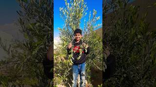 انظرو كيف تحولت لباقة من الزهور    سمعها