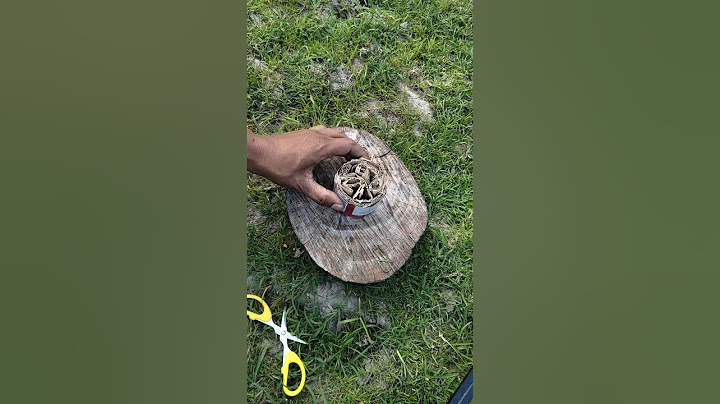 Survival Hacks ✅ A Burner That Defies Rain and wind#survival #camping #lifehacks#outdoors #shorts