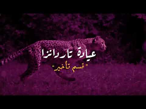 عيادة تاردانزا الحلقة الثانية أسباب سرعة القذف