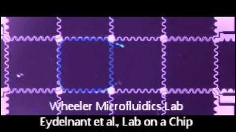 Eydelnant Lab on Chip 2012  - Wet passive dispensing video